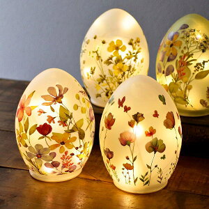 ドv LED  dr ^ e[uv KX  킢   CeACg ԐڏƖ ^C}[t C[Cg R[hX  xbhTCh t[O