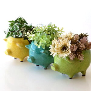 小さい 鉢 花の人気商品 通販 価格比較 価格 Com