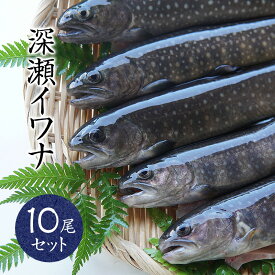楽天市場 イワナ 養殖の通販