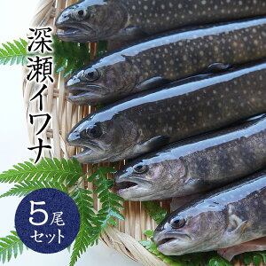 イワナ 魚の人気商品 通販 価格比較 価格 Com