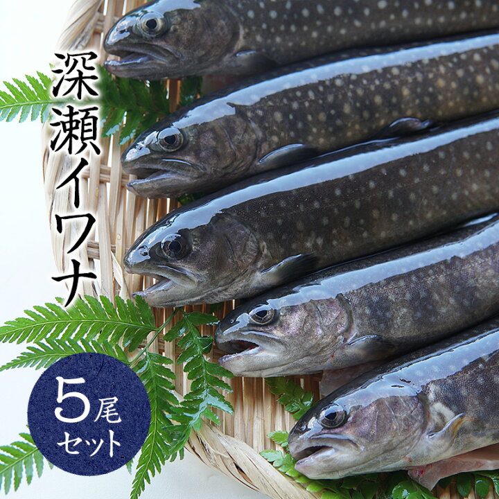 楽天市場 イワナ 岩魚 冷凍 川魚 養殖 骨酒 塩焼き 海鮮 q 食材 魚 焼き魚 5尾 セット 淡水養魚場 白山堂 楽天市場店 楽天市場 イワナ 岩魚 冷凍 川魚 養殖 骨酒 塩焼き 海鮮 q 食材 魚 焼き魚 5尾 セット 淡水養魚場 白山堂 楽天市場店