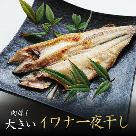 イワナ 一夜干し 干物 父の日 ギフト セット 5尾 岩魚 冷凍 川魚 養殖 海鮮 bbq 食材 魚 焼き魚 高級