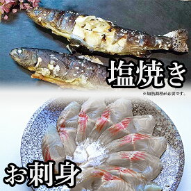 イワナ 塩焼き 刺身 お試し セット 岩魚 冷凍 魚 川魚 養殖 海鮮 bbq 食材