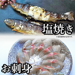 イワナ 塩焼き 刺身 セット 岩魚 冷凍 魚 川魚 養殖 海鮮 bbq 食材 お試し 贈り物