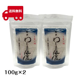 美味と健康　わじまの海塩　100g 袋×2個セット