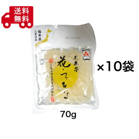 福井県産 三年子花らっきょう 甘酢漬け 70g×10袋セット 国産らっきょう 福井特産