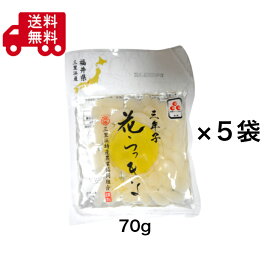 福井県産 三年子花らっきょう 甘酢漬け 70g×5袋セット 国産らっきょう 福井特産