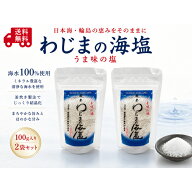 わじまの海塩 100g×2袋 天然塩 海塩 国産塩 石川県輪島産 海水塩 ミネラル塩 ミネラル豊富 輪島の塩