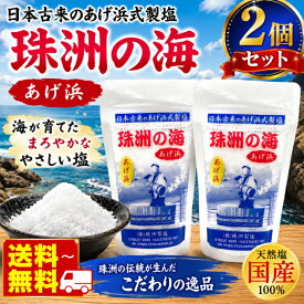 珠洲の塩 あげ浜 100g×2袋 天然塩 海塩 国産塩 能登 珠洲 揚げ浜式製塩 ミネラル塩 ミネラル豊富