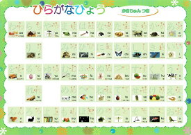 知育玩具 【ひらがな お試しセット】 みぞなぞり 習字ボード ひらがな 漢字 カタカナ 数字 アルファベット 繰り返し 練習ボード 書き順 ドリル 知育教材 平仮名 文字 運筆 誕生日プレゼント 5歳 6歳 7歳 年長 1年生 国語 書き順 カード ワーク 孫 ギフト プレゼント