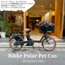 限定特価中！(予告なく終了)【ペットポーターフロント・ペット乗せフルカスタム対応】BIKKE POLAR(ビッケポーラー)BP0C40/BP0C44ペットポーター・ペット乗せ電動自転車【送料プランA】