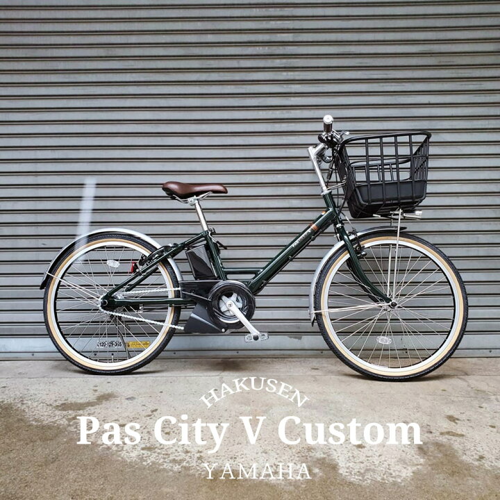 楽天市場】【プラパイプバスケットカスタム】[PAS CITY V(パスシティV 