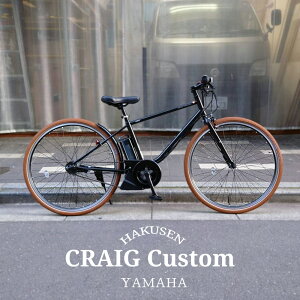 yő5000~N[|(9/1t)zy^CJX^z[PAS CRAIG(pXNCO)]}ndAVXg]/e-bikeC[oCNyVvŃX^CbVȃX|[eBfzyvAzy
