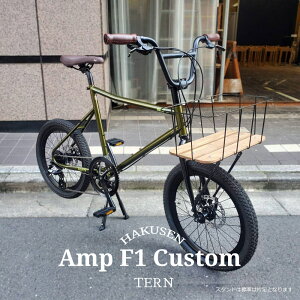 yő5000~N[|zzzySEbhoXPbgڌIJX^z݌ɗL AMP F1(Av F1)TERNi^[jaԁE~jxyvBz