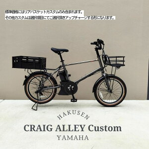 �y��^�R���e�i���A�o�X�P�b�g���ځz�t���J�X�^���Ή�PAS CRAIG ALLEY(�p�X�N���C�O�A���[)YAMAHA(���}�n�����@)BMX/�~�j�x���d���A�V�X�g���]�ԁEE-bike�i�C�[�o�C�N�j �y�����v����A�z