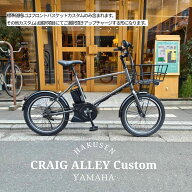 【アルミ製軽量バスケット搭載】フルカスタム対応PAS CRAIG ALLEY(パスクレイグアリー)YAMAHA(ヤマハ発動…