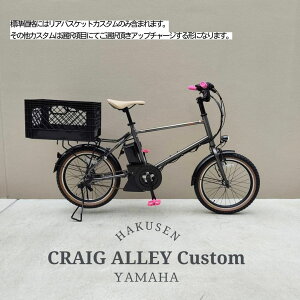 �y�����`�R���e�i���A�o�X�P�b�g���ځz�t���J�X�^���Ή�PAS CRAIG ALLEY(�p�X�N���C�O�A���[)YAMAHA(���}�n�����@)BMX/�~�j�x���d���A�V�X�g���]�ԁEE-bike�i�C�[�o�C�N�j �y�����v����A�z