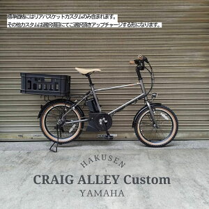�yTXB�R���e�i���A�o�X�P�b�g���ځz�t���J�X�^���Ή�PAS CRAIG ALLEY(�p�X�N���C�O�A���[)YAMAHA(���}�n�����@)BMX/�~�j�x���d���A�V�X�g���]�ԁEE-bike�i�C�[�o�C�N�j �y�����v����A�z