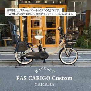 �y�ő�4000�~�N�[�|��(17��10���܂�)�z�y���A�V�[�g/RBC-015DX����+�t���J�X�^���`���C�X�z[PAS CARIGO(�p�X �L�����S�[)]�y2026���f���z20�C���`���}�n�q���悹�Ή�/�d���A�V�X�g���]�ԁy�����v����