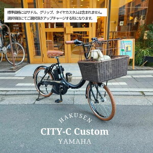 �y���^���y�b�g�o�X�P�b�g�t�����g����/�t���J�X�^���Ή��z[PAS CITY C(�p�X�V�e�BC)]�iPA20CC�j���}�n�d���A�V�X�g���]�ԁE���E��񂿂��E�h�b�O�y�����v����A�z����