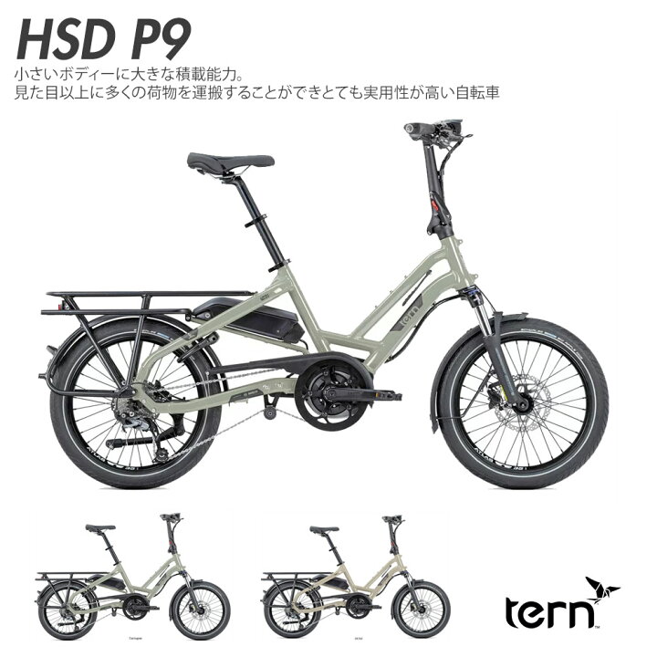 楽天市場】【最大2500円クーポン(1日一杯)】HSD P9（エイチエスディP9 