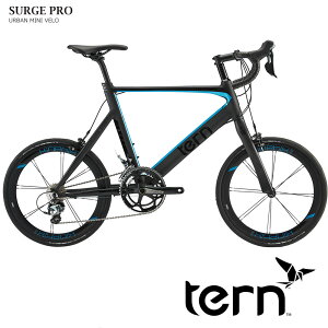 yő5000~N[|zzzSURGE PRO DELTA COLOR(T[Wvf^J[)TERNi^[jaԁE~jxyvBzy֓/ߋE͒nőقȂ(C)z