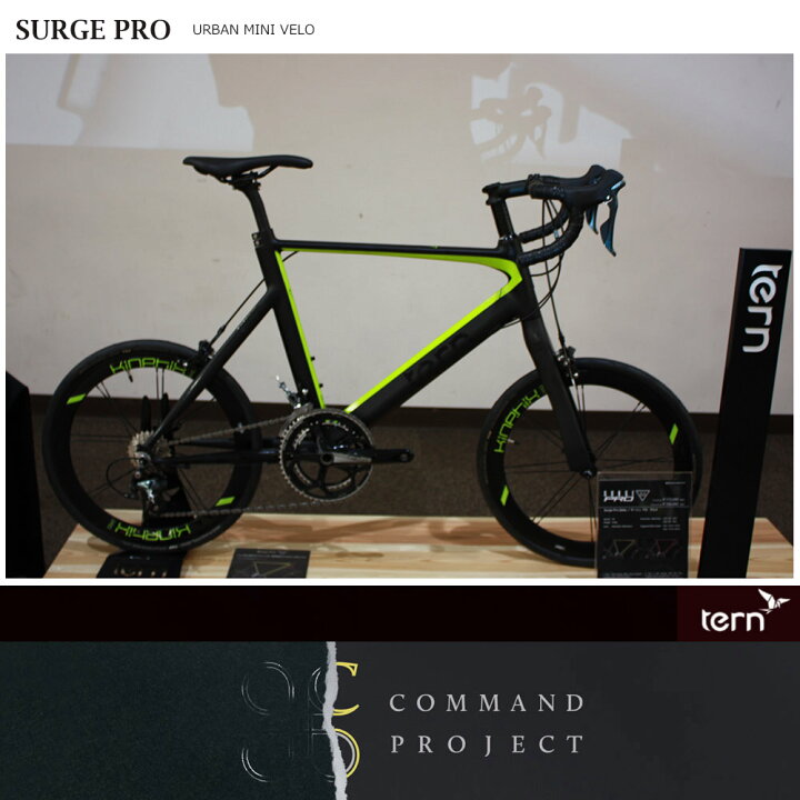 楽天市場】SURGE PRO DELTA COLOR(サージプロデルタカラー)TERN 
