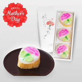 【母の日限定ギフト 送料無料】白水堂 長崎　桃かすてら こもも(カーネーションバージョン)3個入/ カステラ お取り寄せ 節句 初節句 桃の節句 お祝い お返し 内祝いギフト プレゼント お土産　母の日 カーネーション 期間限定