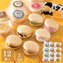 白水舎乳業　もなかアイスセット3種類入り　ミルク4個＆ミルクチョコ4個＆カフェ4個　計12個入り　宮崎県産生乳使用　宮崎県ご当地アイス
