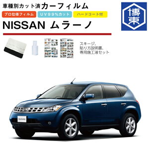 �J�[�t�B���� �����[�m Z50�n�p H16/9�`H20/9 �Ԏ�ʃJ�b�g�σ��A1�䕪�Z�b�g ���Y(NISSAN)