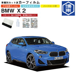 �J�[�t�B���� BMW X2 F49�n�p H30/4�`R6/1 �Ԏ�ʃJ�b�g�σ��A1�䕪�Z�b�g