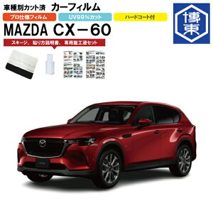 J[tB CX|60 KHnp R4/9` ԎʃJbgσA1䕪Zbg }c_(MAZDA)