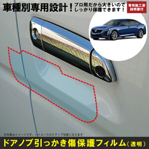 CT5p(R3/1`)Ԏʐ݌vhAmuیveNVtB LfbN(CADILLAC)h~V[g