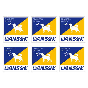 hƃV[()6cmp@6Zbg WANSOK(\bN)XebJ[ ZLeB΍ɁIĂ܂XebJ[