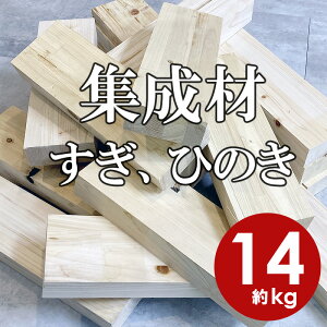 yzЂ̂  H Hp [ 30cm 14kg/ _ސ쌧 ؎s  ňlɒ Hp W i Y