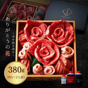 HMtg hV̓ ̂380g ēZbg 1`2lO(؂^,o,gg)  P[L 荇킹 ^t ^ Y v[g    A a 