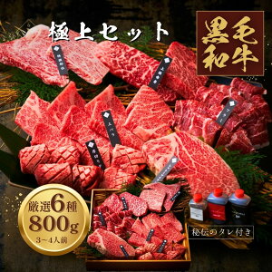 焼肉セット 約3〜4人前 タレ付き (厚切りタン・上バラ・シャトーブリアン・特撰上撰赤身・ツラミ)バーベキュー 牛肉 誕生日 プレゼント お祝い 快気祝い 御礼 ご挨拶 お取り寄せ (極上セッ
