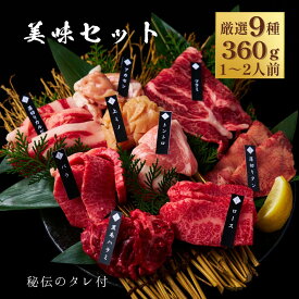 焼肉セット9種食べ比べ 360g 約1～2人前 肉 プレゼント タレ付き ハラミ ホルモン 国産牛 男友達 お取り寄せ 贈答用 牛肉 牛タン お祝い ご挨拶 御礼 結婚 誕生日 出産 バーベキュー 肉ケーキ (美味セット) 大阪 鶴橋 白雲台 お歳暮