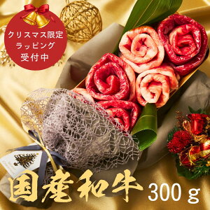 u[P (YaEY300g)Hה 1`2lO ̃P[L Ԃ Ă Mtg Ε ґO TvCY v[g NX}X 蕨 p a  