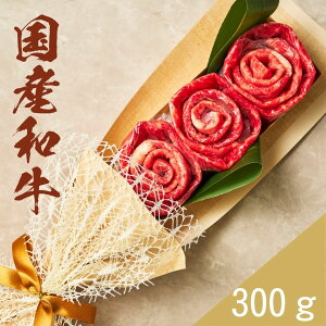 HMtg u[P (Ya300g)Ԃ Ă 1`2lO ґO Mtg TvCY v[g 蕨 p a  oY jS ̉ ؂Ȍf 