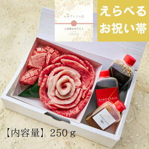 yoYjz ̉ 1`2lO ēZbg(؂^,Yo,[X,gg) ^t P[L  ^ j Ԑg Xe[L Mtg    A p a