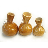 楽天市場】楽器イプの通販