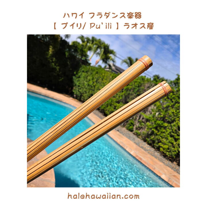 楽天市場】ハワイ ハワイアン フラ用品 フラ楽器ラオス産【 プイリ 