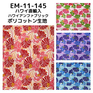 nCA@|Rbgn@EM-11-145 ytAt[z