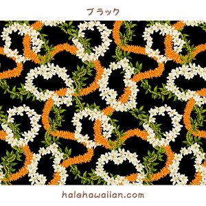 nC nCA Rbgn BAN-104y vA C z