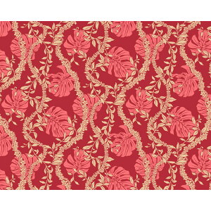 nCA |Rbgn LW-23-893 y}C C Xe sJP vAz