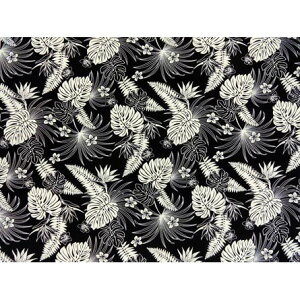 nC@nCAn@BN-16-194y o[hIup_CX / Xe z