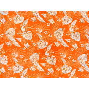 nC@nCAn@BN-16-194y o[hIup_CX / Xe z