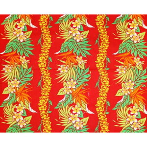 nC@nCAn@LW-18-623 y gsJt[/vAC z