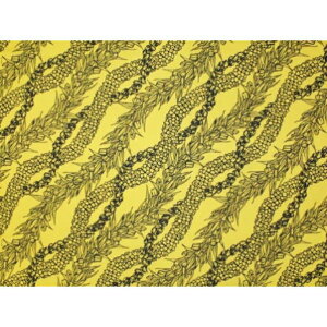 nCAn@t@ubN LW-18-647 y oCAXC z